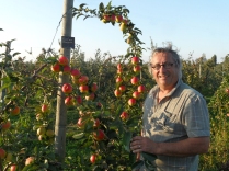 verger collection des pommes du Val de Baule dans le Val de Loire