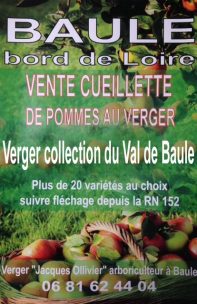 vente cueillette pommes du Val de Loire